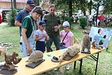 wald_jagdtag_25_06_2023 (451)